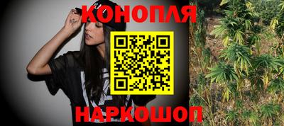 гашик Кандалакша