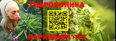 гашик Кандалакша
