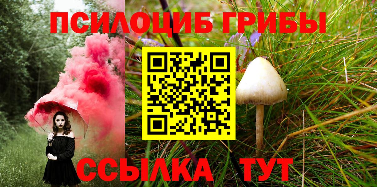 Псилоцибиновые грибы Psilocybine cubensis Серпухов