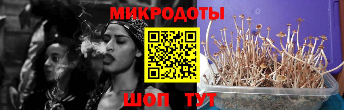 Серпухов  Галлюциногенные грибы Cubensis  Вход с VPN 